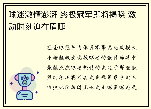 球迷激情澎湃 终极冠军即将揭晓 激动时刻迫在眉睫