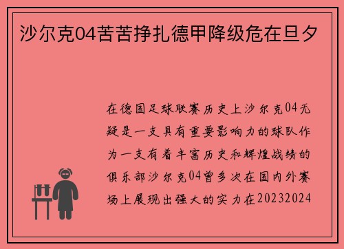 沙尔克04苦苦挣扎德甲降级危在旦夕