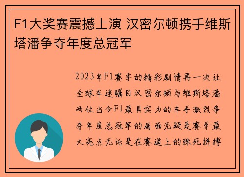 F1大奖赛震撼上演 汉密尔顿携手维斯塔潘争夺年度总冠军