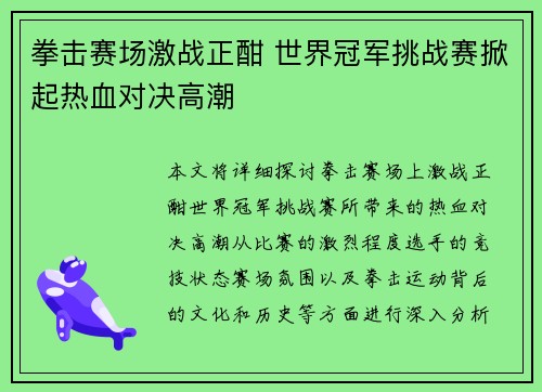 拳击赛场激战正酣 世界冠军挑战赛掀起热血对决高潮